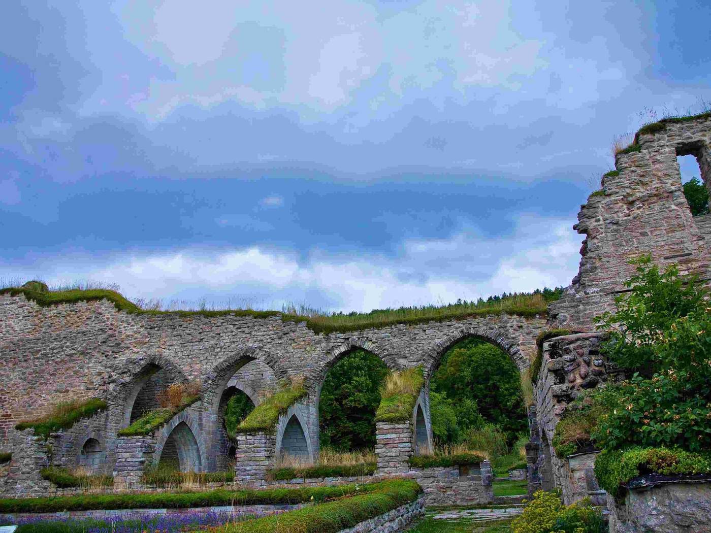 Alvastra Monastery Ruin