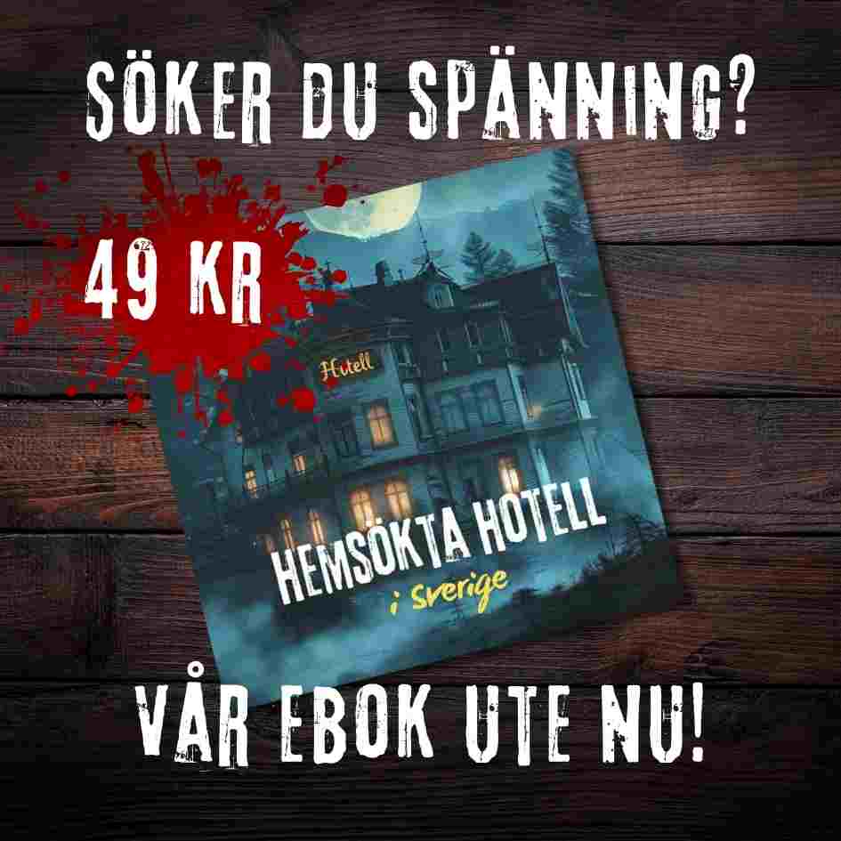Dalen Hotel och Rum 17